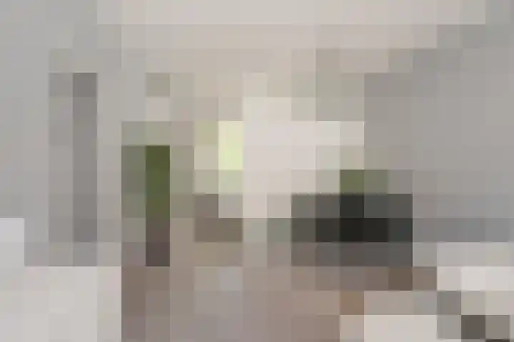 Frits Ruysstraat 39 D Rotterdam thumbnail 6