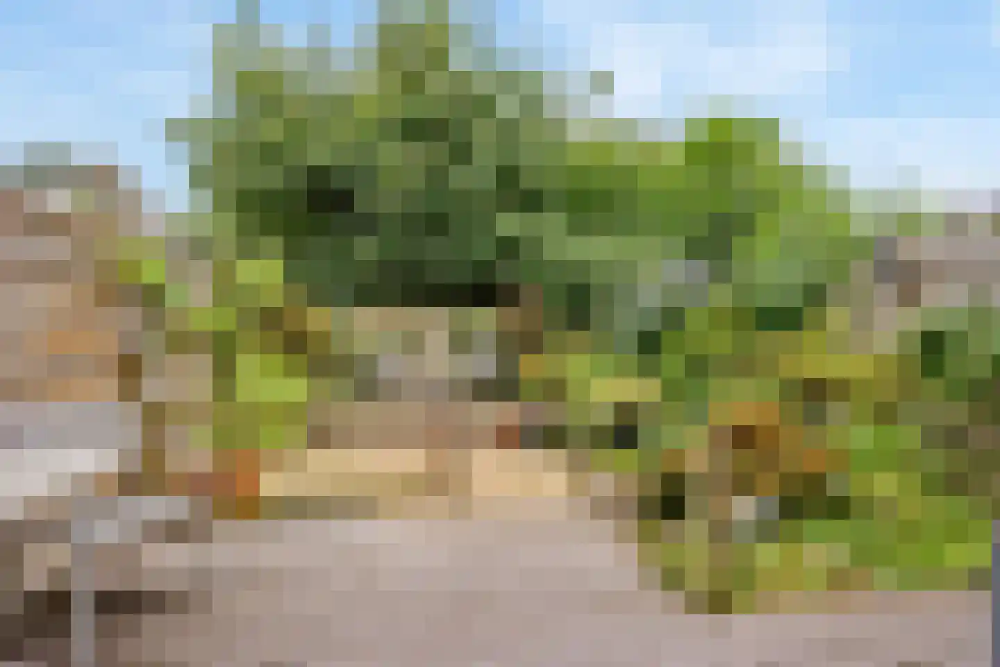 Frits Slompstraat 3 Leidschendam thumbnail 27