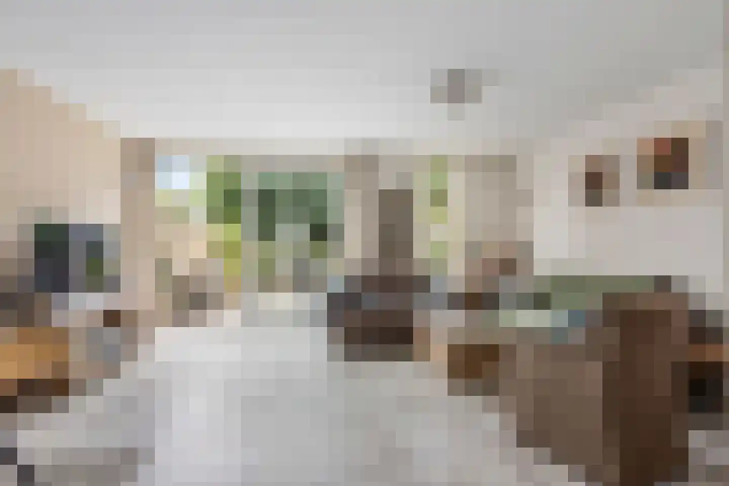 Frits Slompstraat 3 Leidschendam thumbnail 6