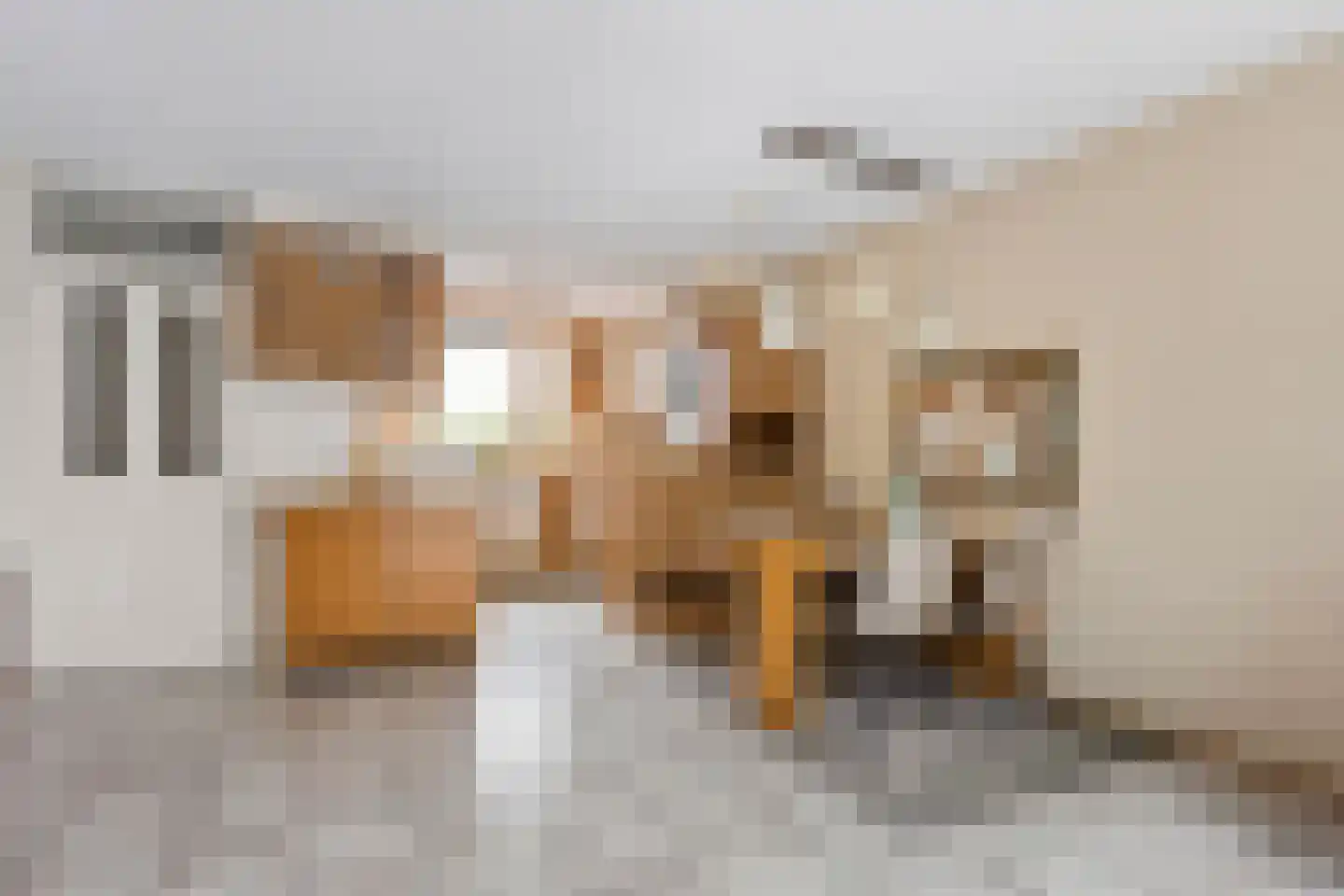 Frits Slompstraat 3 Leidschendam thumbnail 8