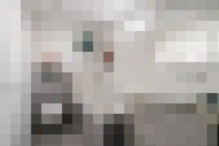 Frits Verhagenstraat 19 Veldhoven thumbnail 24