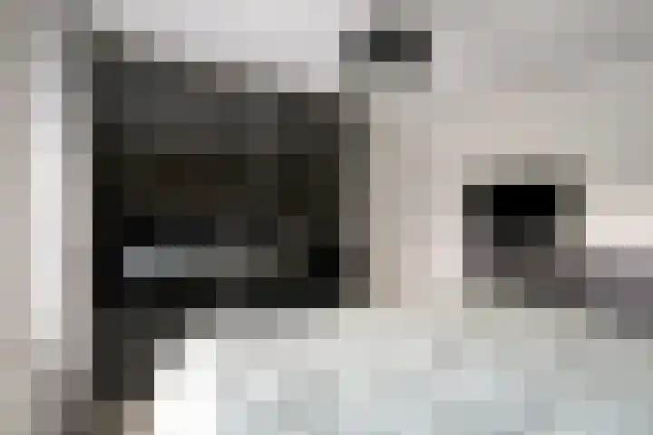 Frits Verhagenstraat 19 Veldhoven thumbnail 26