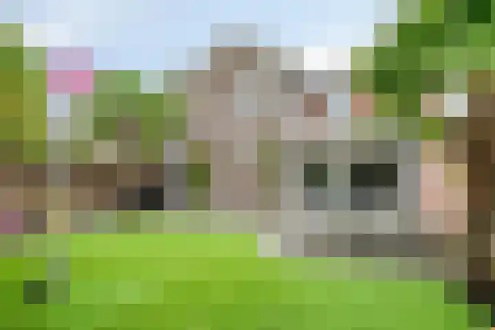 Frits Verhagenstraat 19 Veldhoven thumbnail 33