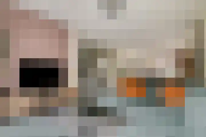 Frits Verhagenstraat 19 Veldhoven thumbnail 8