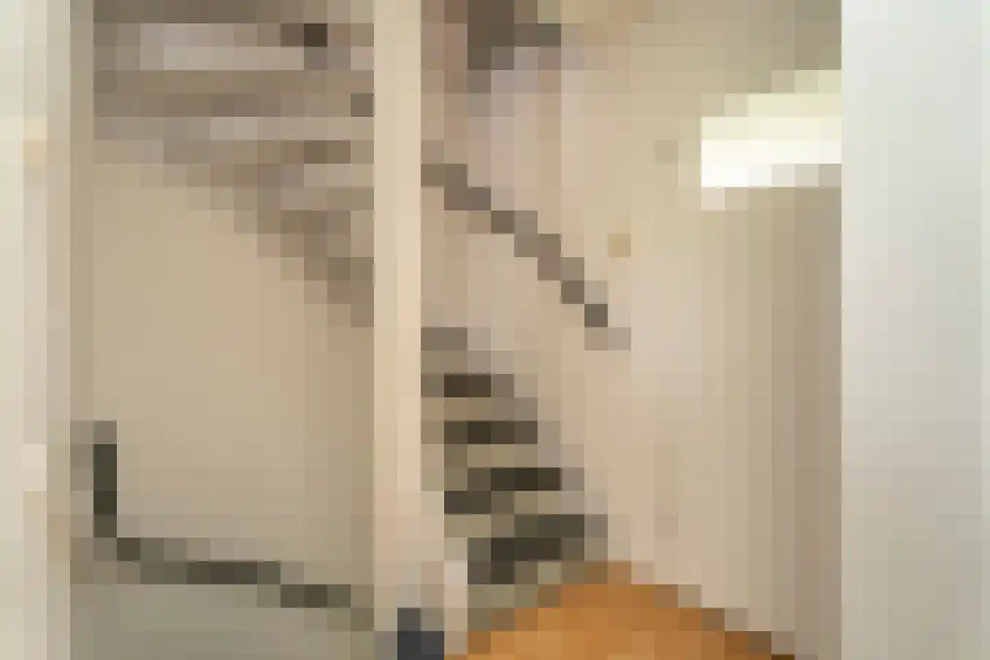 Frits Zernikelaan 13 Berkel-Enschot thumbnail 13