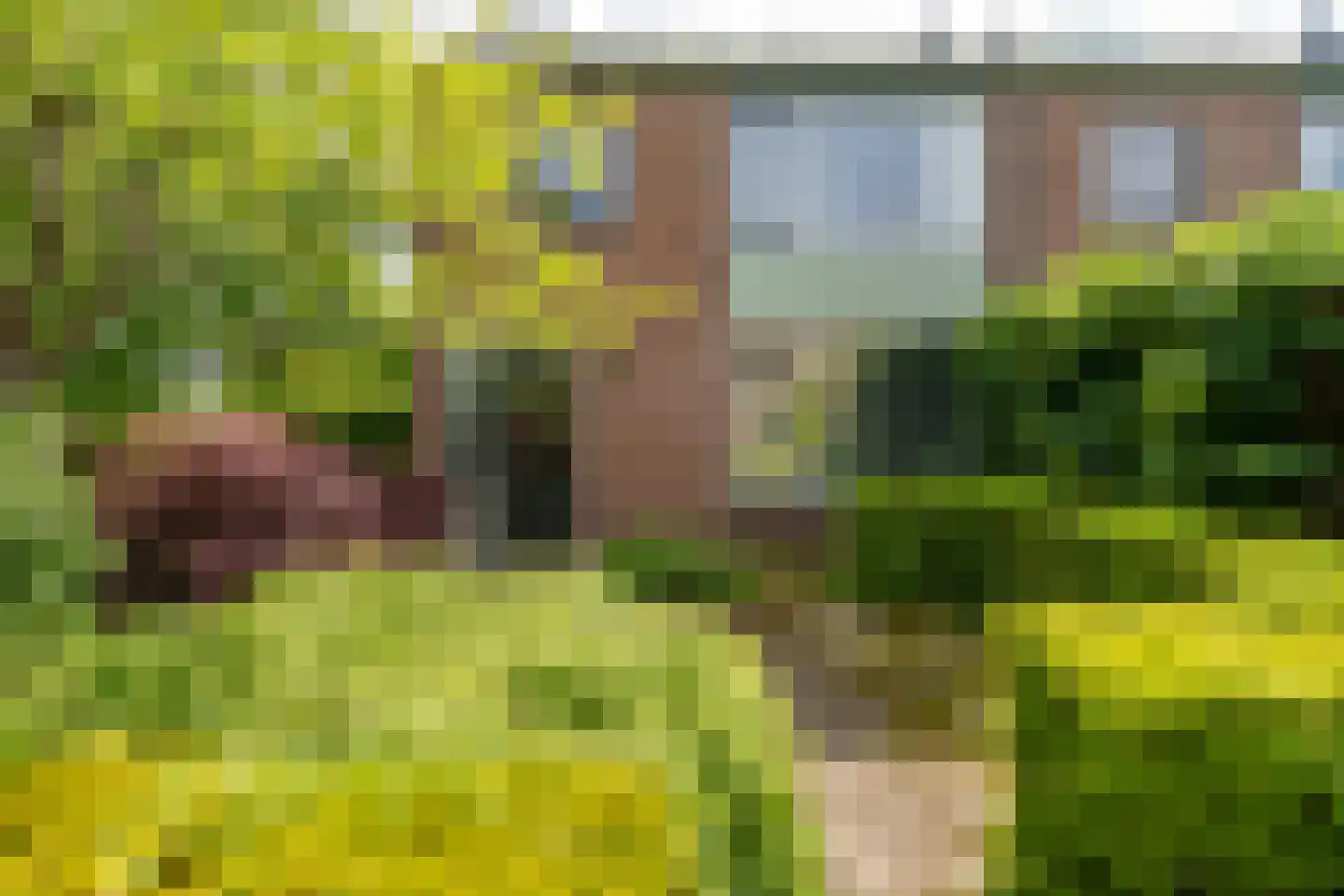 Frits Zernikelaan 13 Berkel-Enschot thumbnail 32