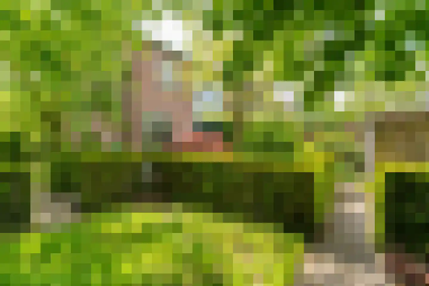 Frits Zernikelaan 13 Berkel-Enschot thumbnail 33