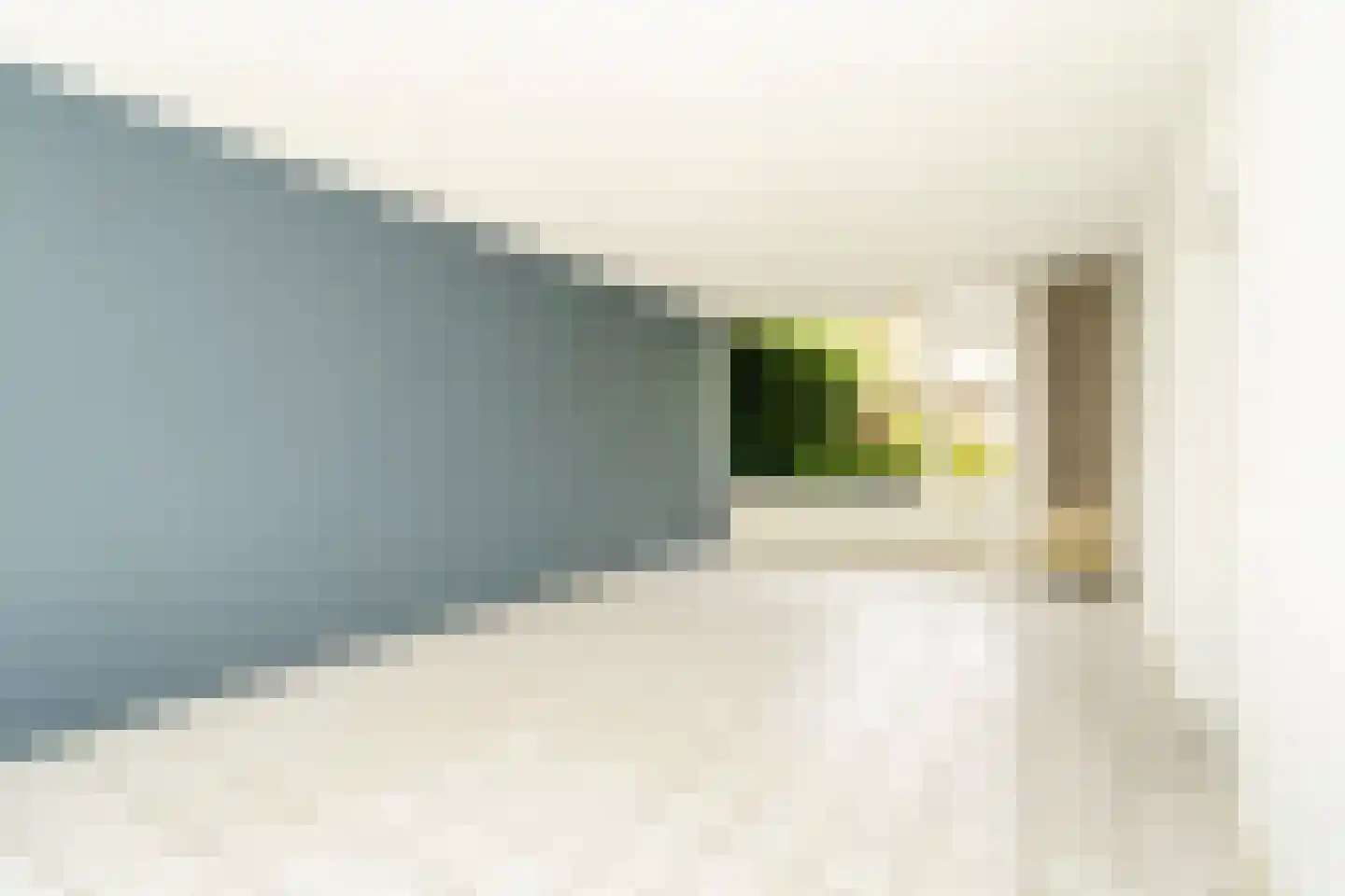Frits Zernikelaan 13 Berkel-Enschot thumbnail 5