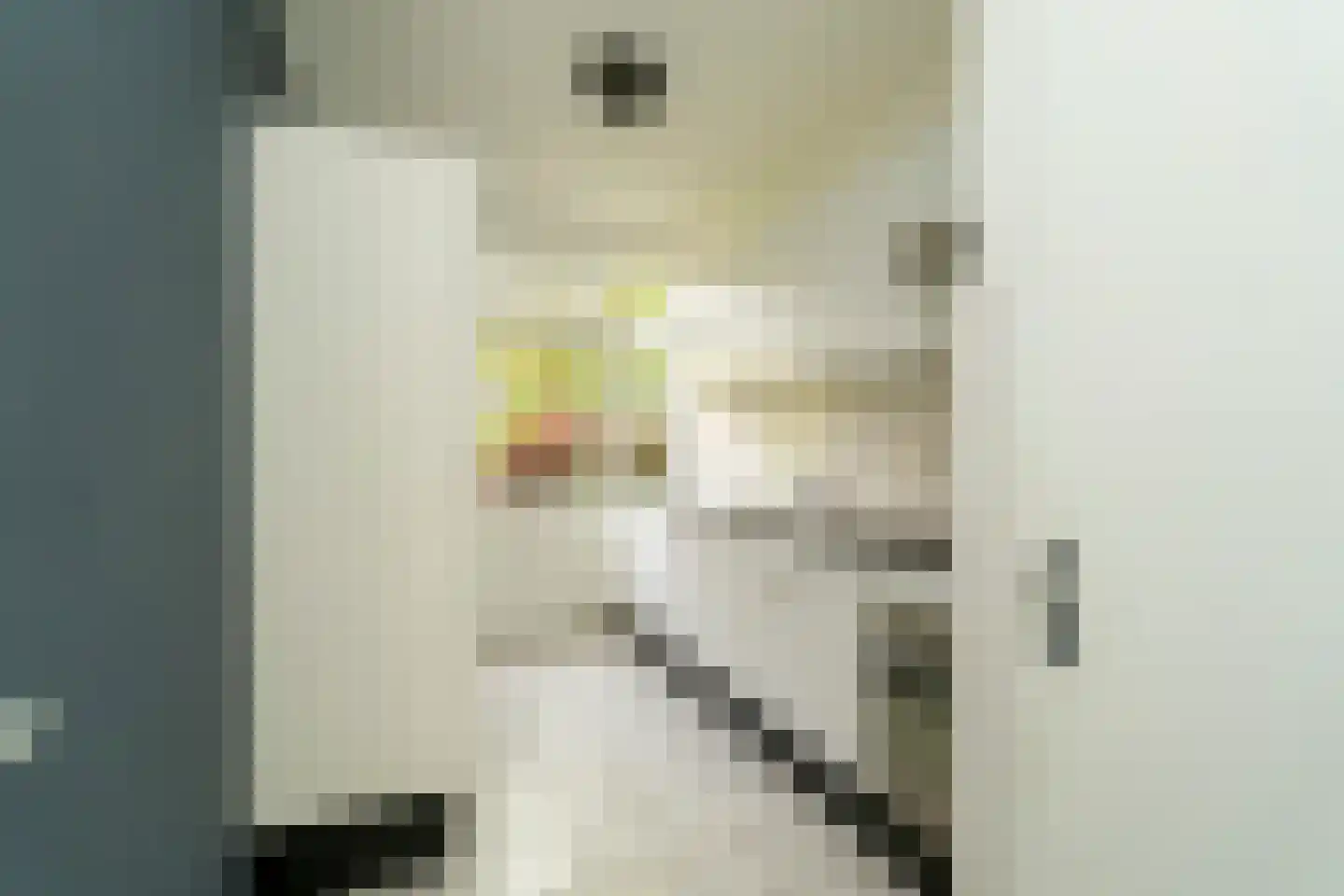 Frits Zernikelaan 13 Berkel-Enschot thumbnail 9