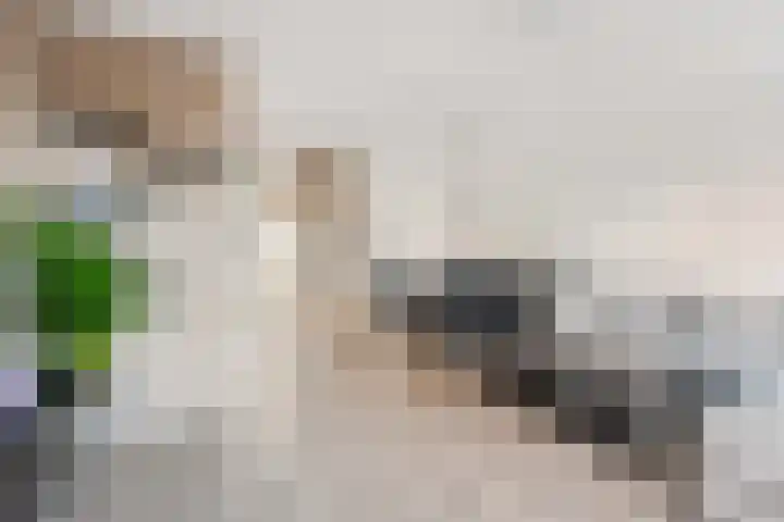 Frits Zernikeplein 3 Almere thumbnail 13