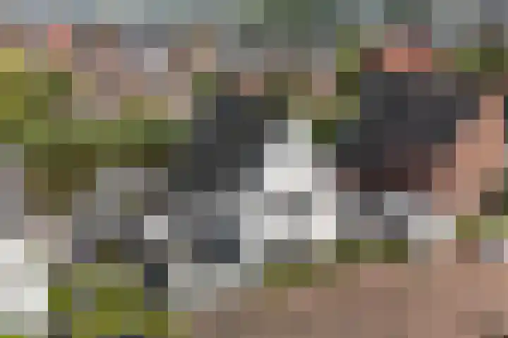 Frits Zernikestraat 26 Almere thumbnail 5
