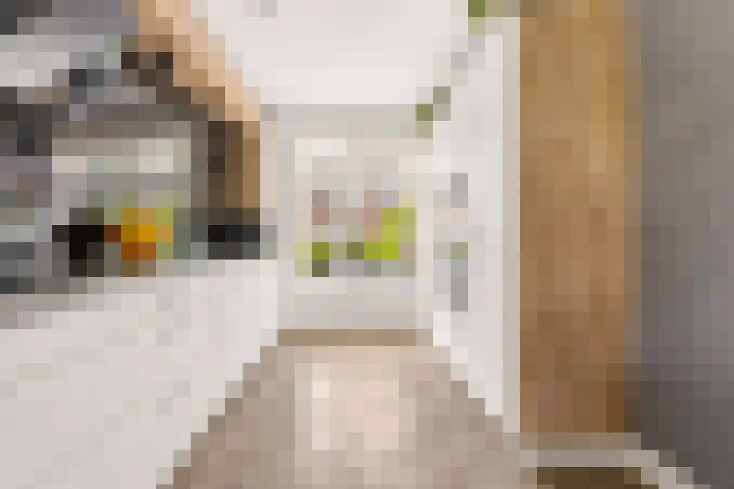 Frits Zernikestraat 6 Almere thumbnail 29