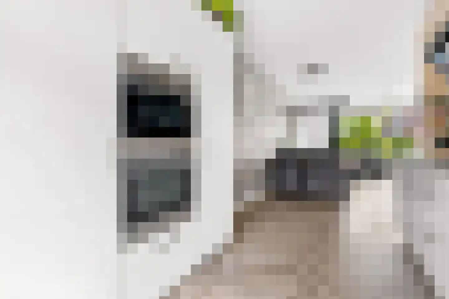 Frits Zernikestraat 6 Almere thumbnail 31
