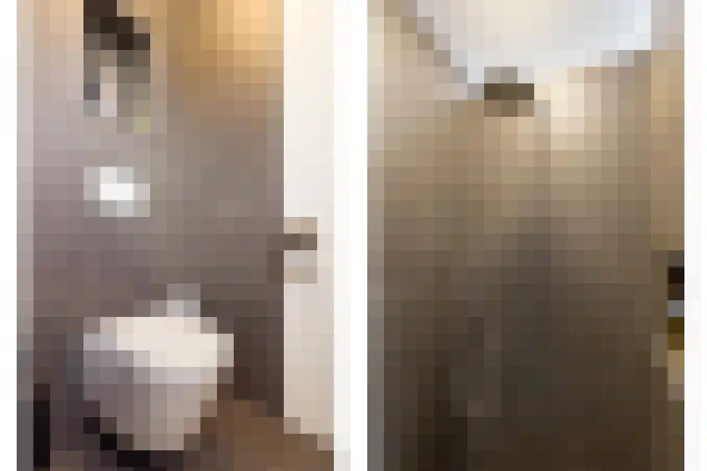 Frits Zernikestraat 6 Almere thumbnail 36