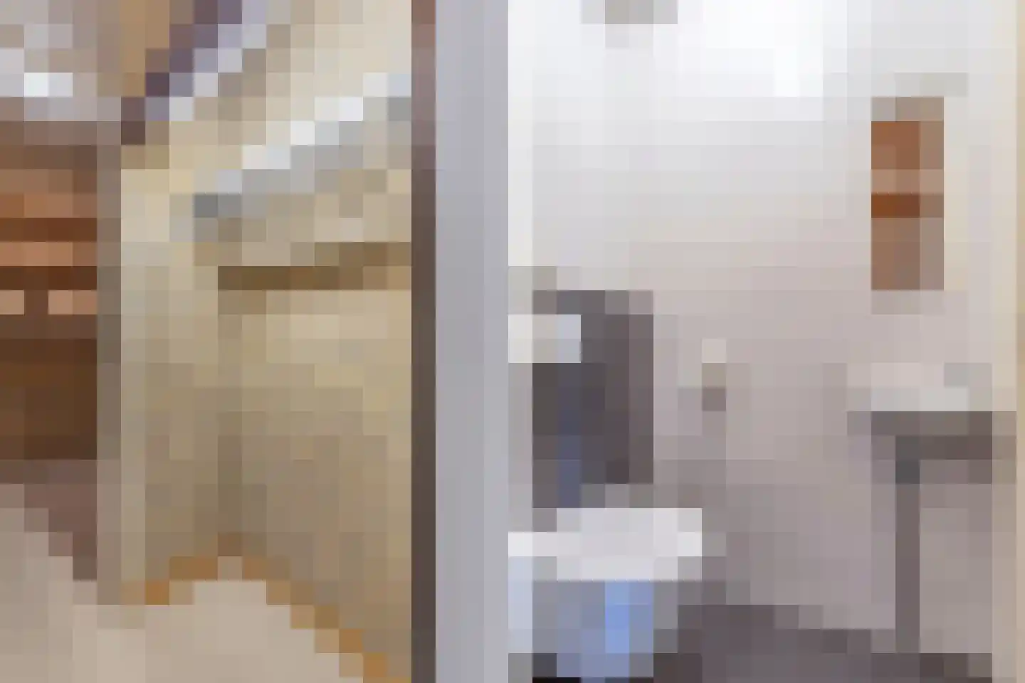 Frittemaleane 1 014 Sneek thumbnail 19