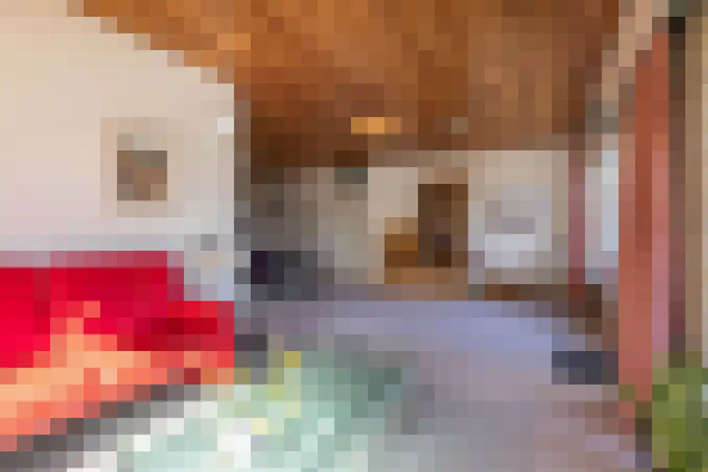 Frittemaleane 1 014 Sneek thumbnail 24