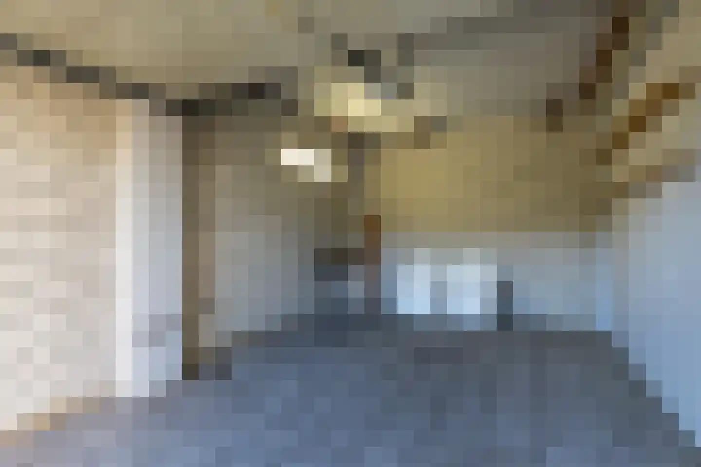 Frittemaleane 1 014 Sneek thumbnail 41