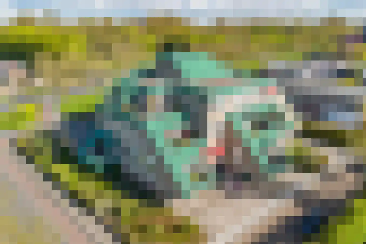 Frittemaleane 1 014 Sneek thumbnail 42