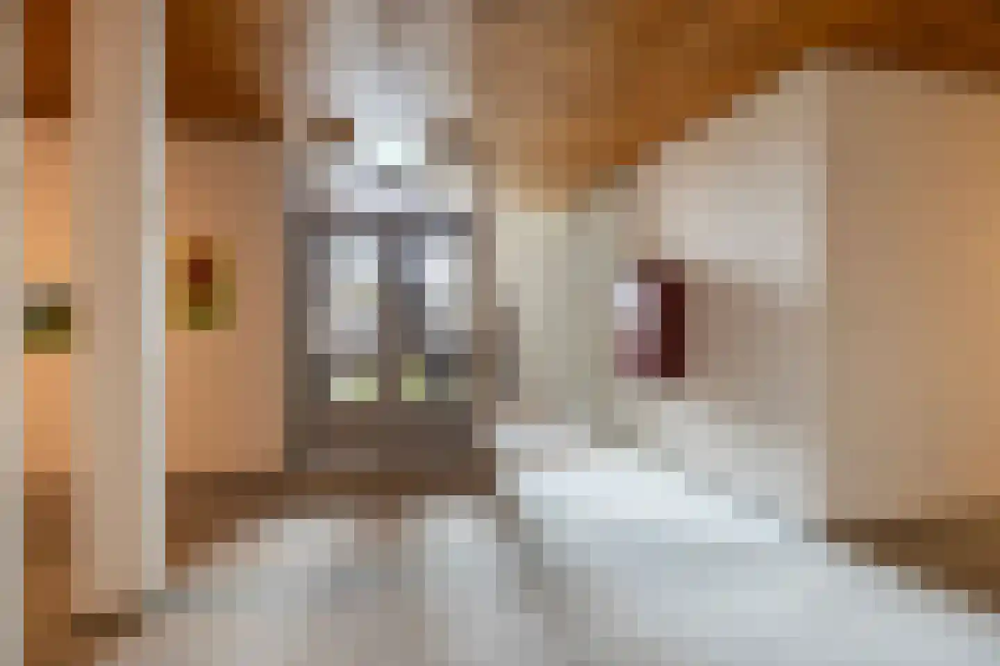 Frittemaleane 1 015 Sneek thumbnail 14
