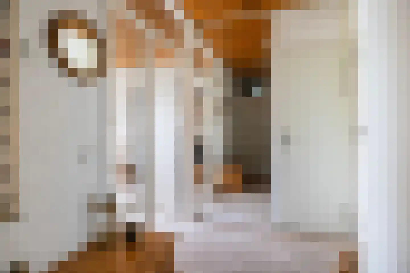 Frittemaleane 1 015 Sneek thumbnail 17