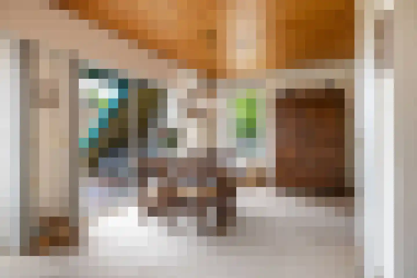 Frittemaleane 1 015 Sneek thumbnail 23
