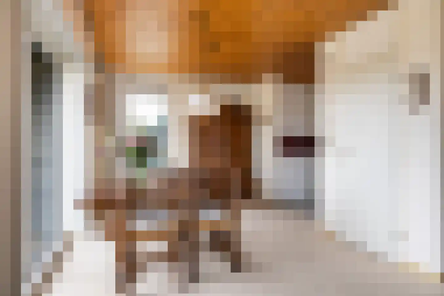 Frittemaleane 1 015 Sneek thumbnail 24