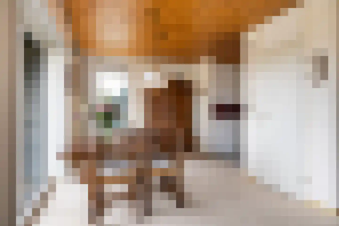Frittemaleane 1 015 Sneek thumbnail 24