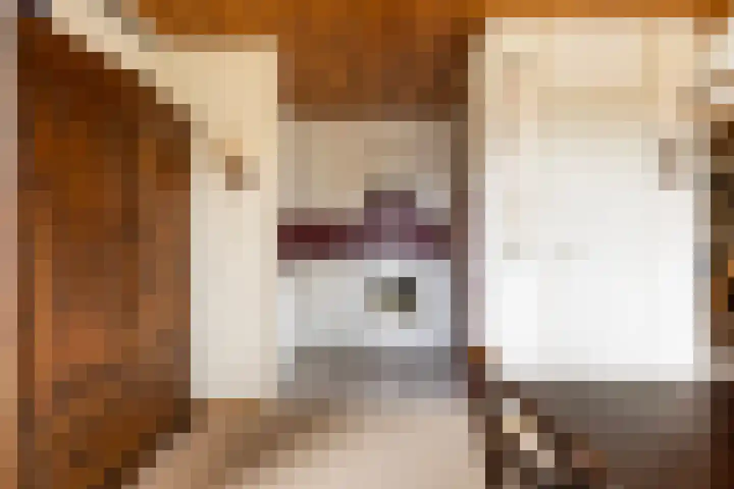 Frittemaleane 1 015 Sneek thumbnail 26