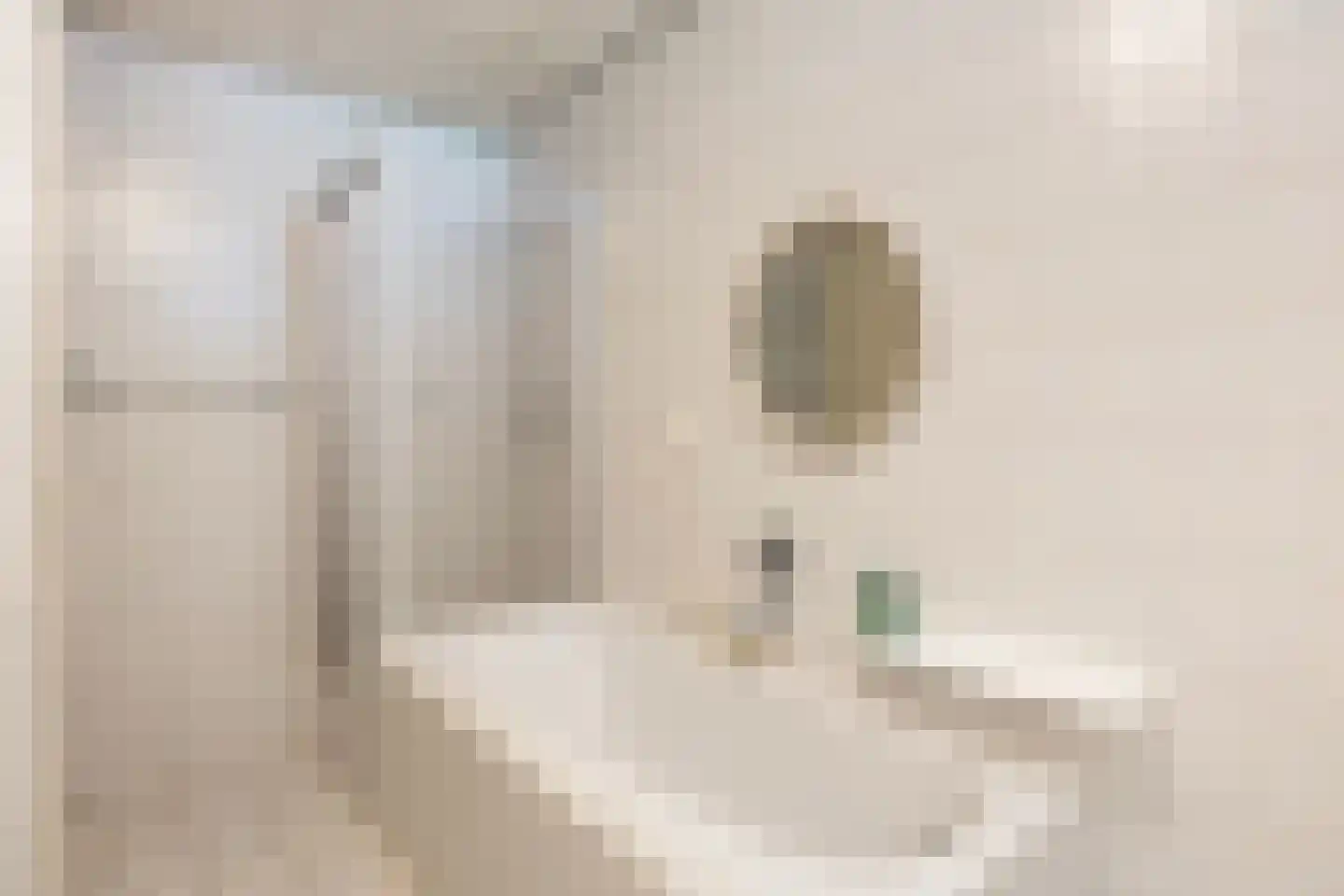 Frittemaleane 1 015 Sneek thumbnail 36