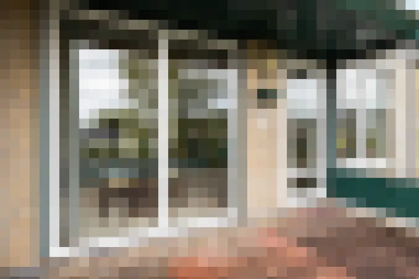 Frittemaleane 1 015 Sneek thumbnail 41
