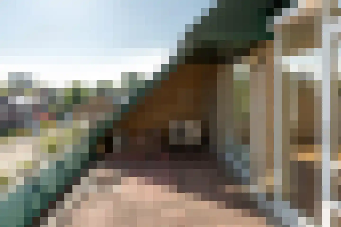 Frittemaleane 1 023 Sneek thumbnail 19