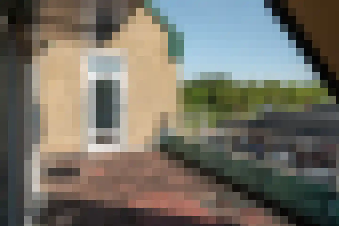 Frittemaleane 1 023 Sneek thumbnail 20