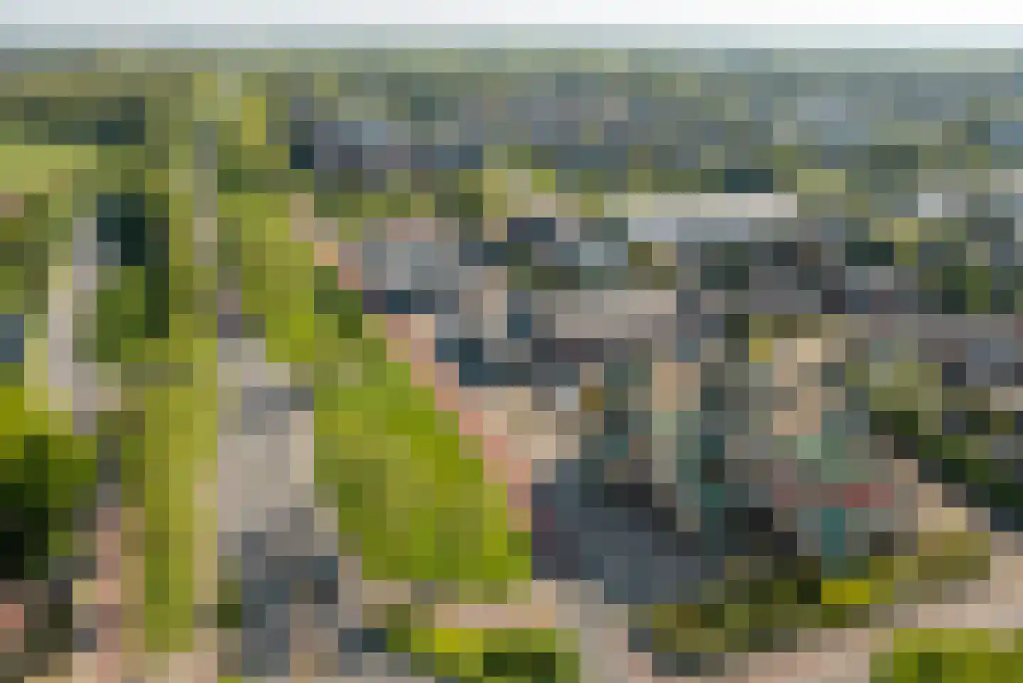 Frittemaleane 1 023 Sneek thumbnail 24