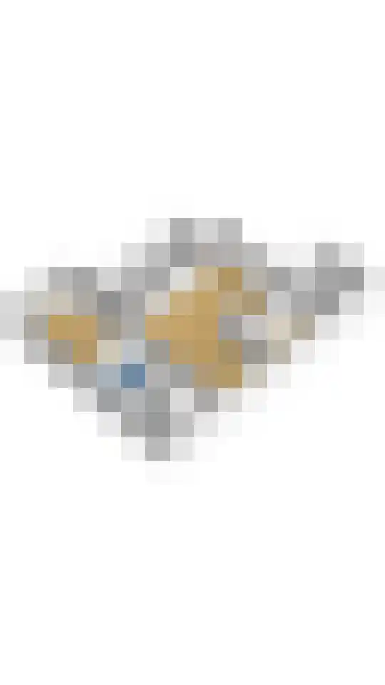 Frittemaleane 1 023 Sneek thumbnail 27