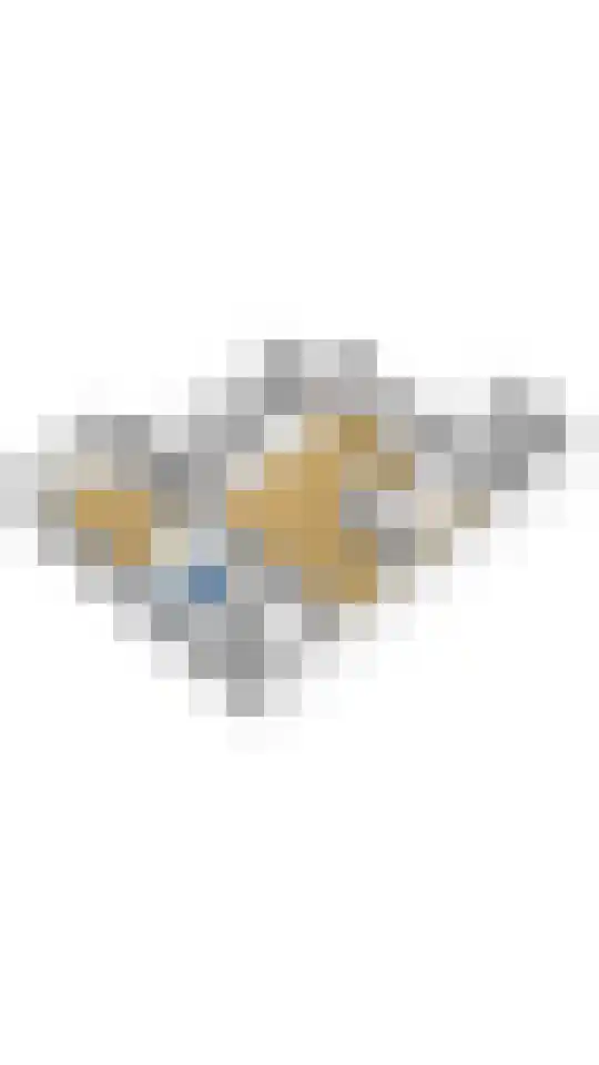 Frittemaleane 1 023 Sneek thumbnail 27