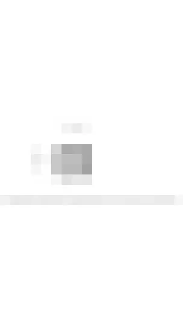 Frittemaleane 1 023 Sneek thumbnail 31