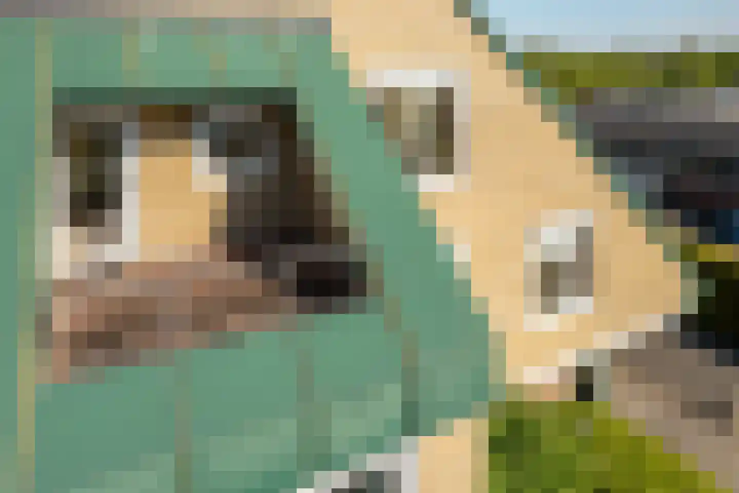 Frittemaleane 1 023 Sneek thumbnail 4
