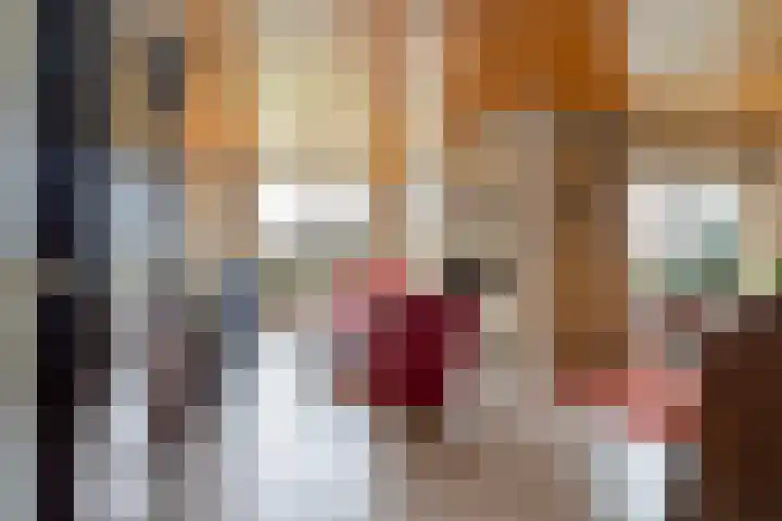 Frittemaleane 1 032 Sneek thumbnail 13