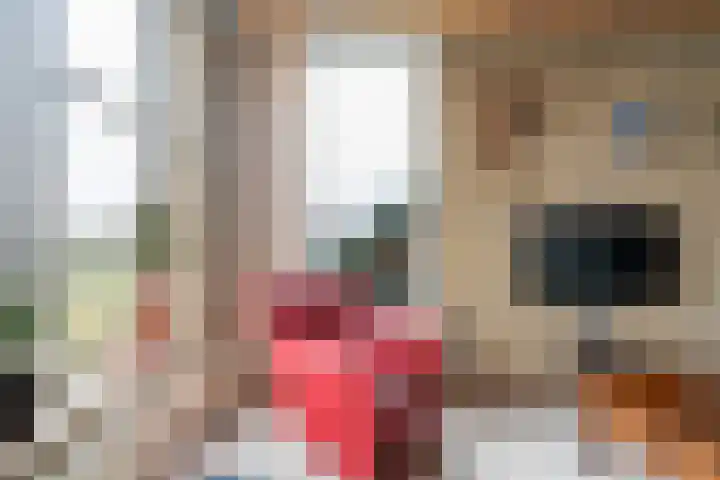 Frittemaleane 1 032 Sneek thumbnail 15