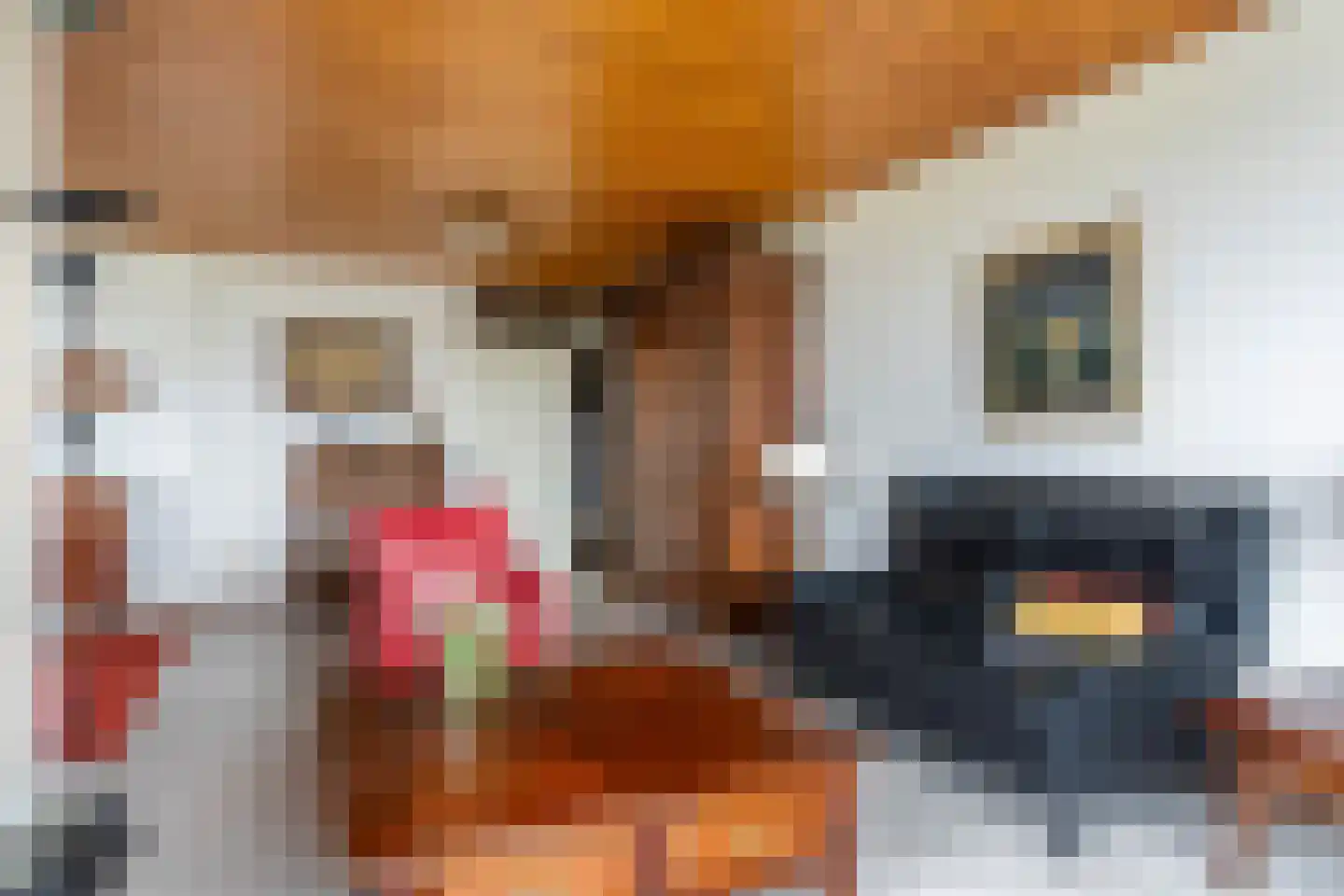 Frittemaleane 1 032 Sneek thumbnail 16