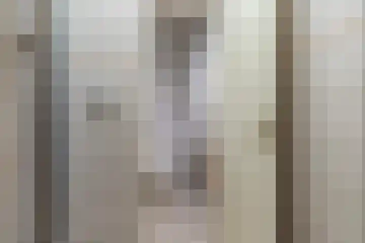 Frittemaleane 1 032 Sneek thumbnail 32