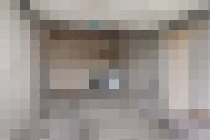 Frittemaleane 1 032 Sneek thumbnail 33