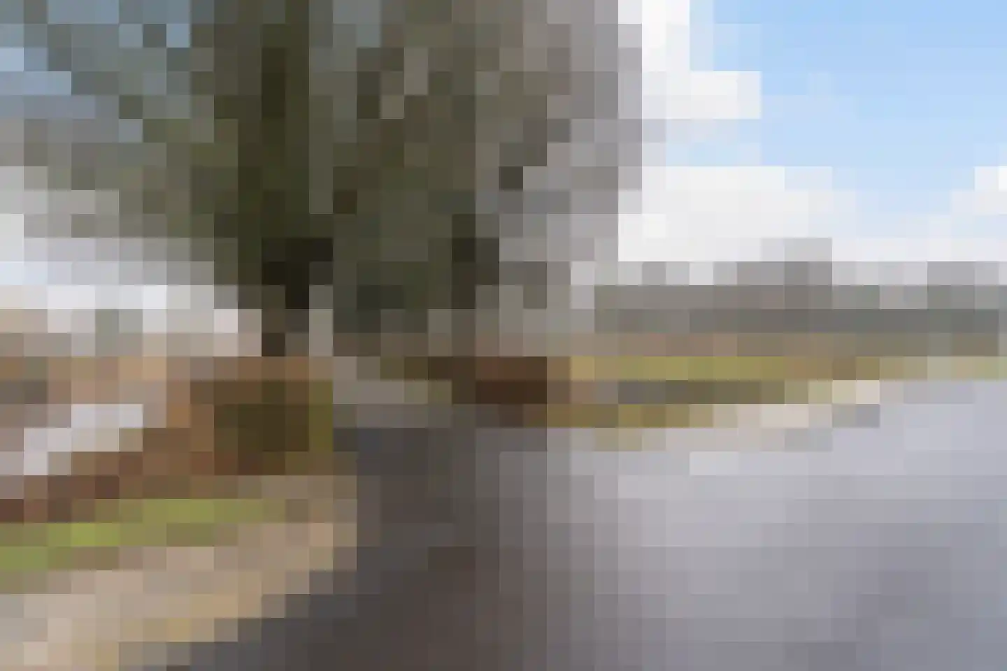 Frittemaleane 1 032 Sneek thumbnail 38