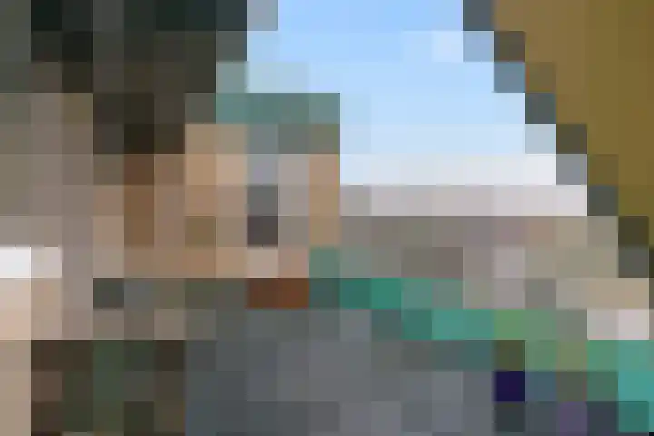 Frittemaleane 1 032 Sneek thumbnail 4