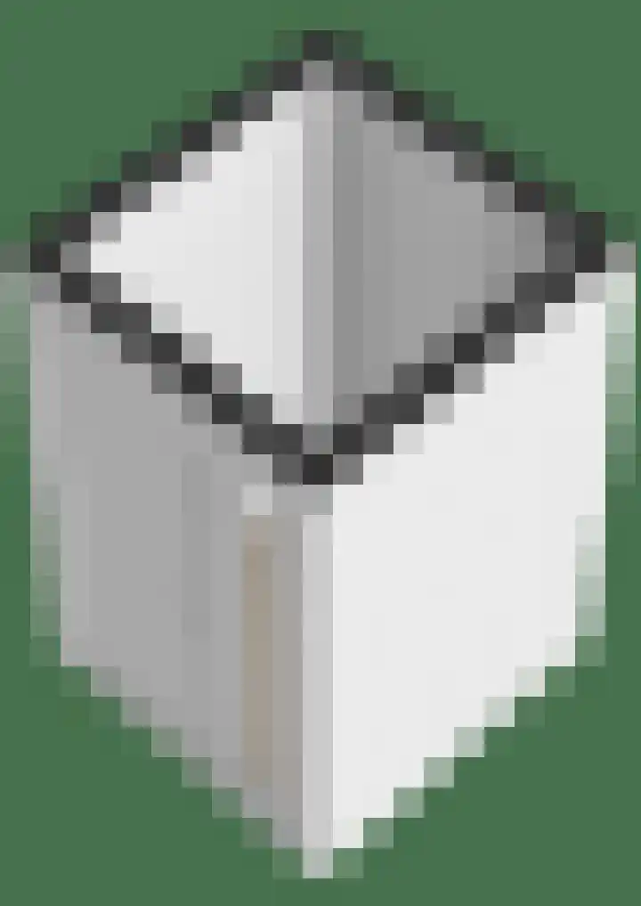 Frittemaleane 1 032 Sneek thumbnail 50