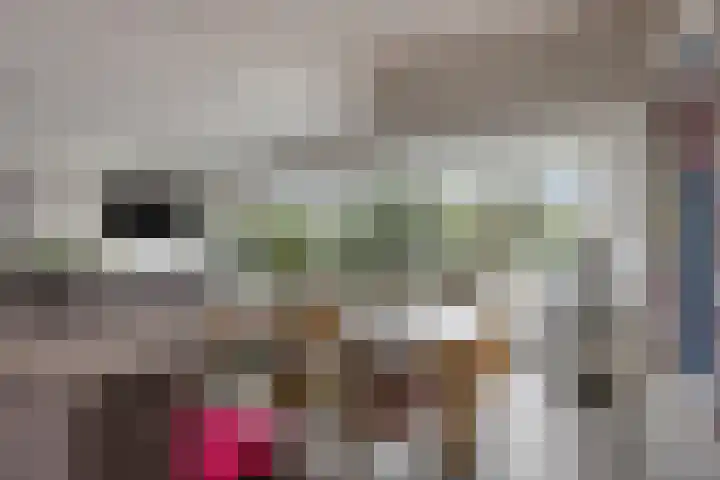 Frittemaleane 60 Sneek thumbnail 11