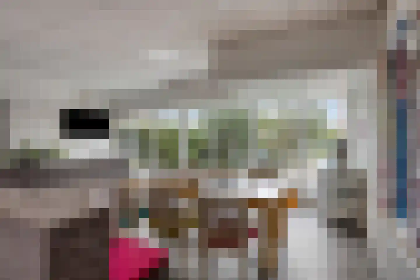 Frittemaleane 60 Sneek thumbnail 11