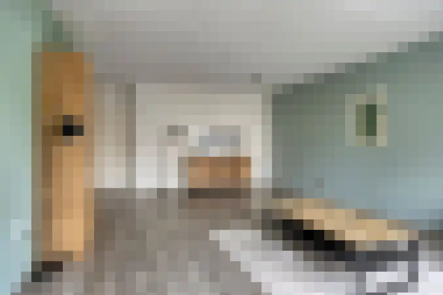Frittemaleane 60 Sneek thumbnail 16
