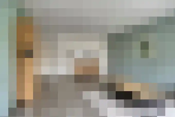Frittemaleane 60 Sneek thumbnail 16
