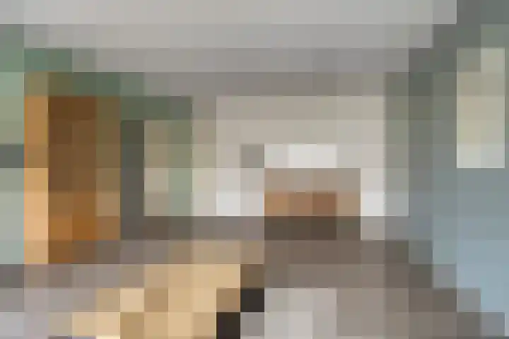 Frittemaleane 60 Sneek thumbnail 17
